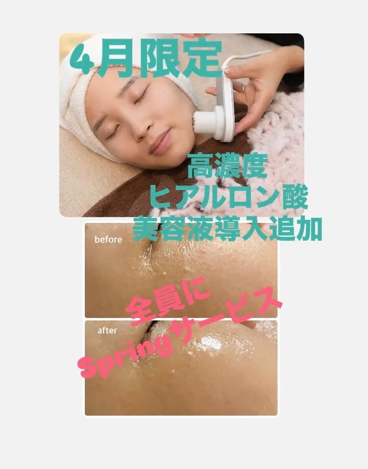 ご来店全員様4月スプリングサービス🌸